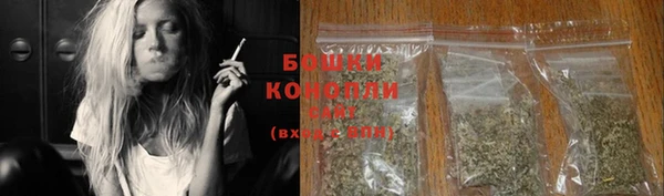 гидропоника Богданович