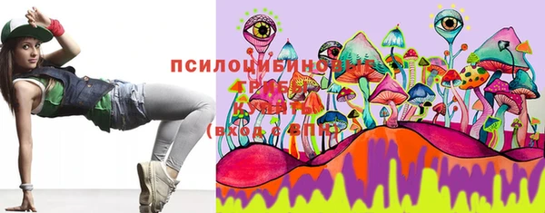гидропоника Богданович