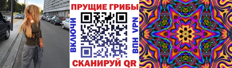 Купить  Бузулук  Псилоцибиновые грибы GOLDEN TEACHER 